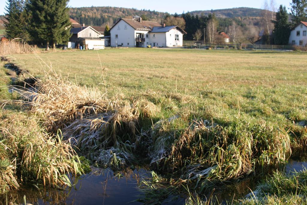 Appartement Haus Am Treffenbach à Waldmünchen Extérieur photo